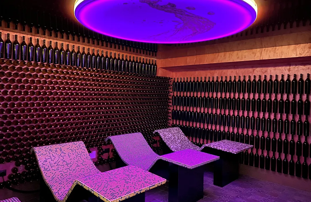 Hotel SPA Bodega La Casona de La Vid-1